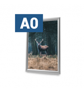 Snap Frame A0